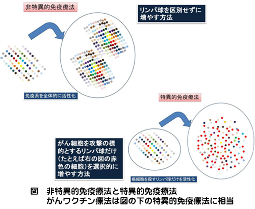 非特異的免疫療法と特異的免疫療法