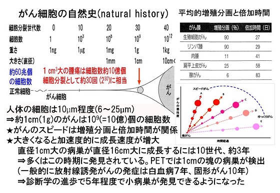 資料1