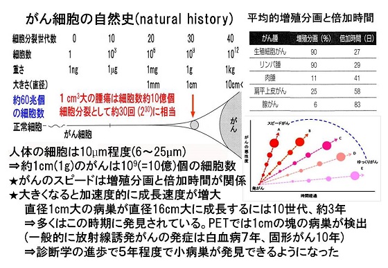 資料１