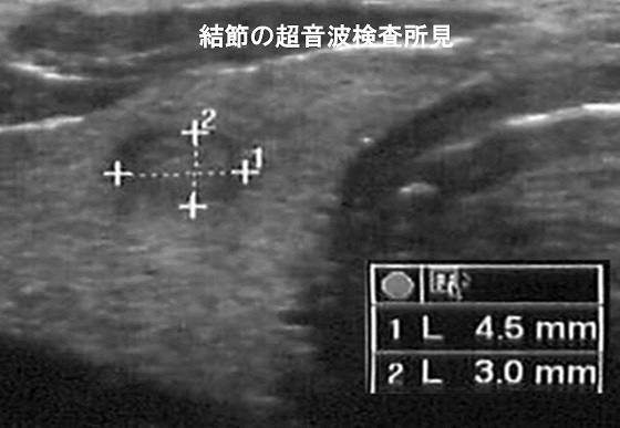 資料2