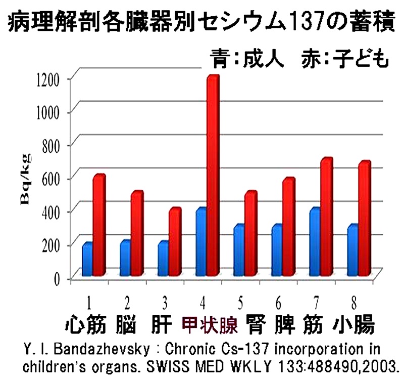 資料３１