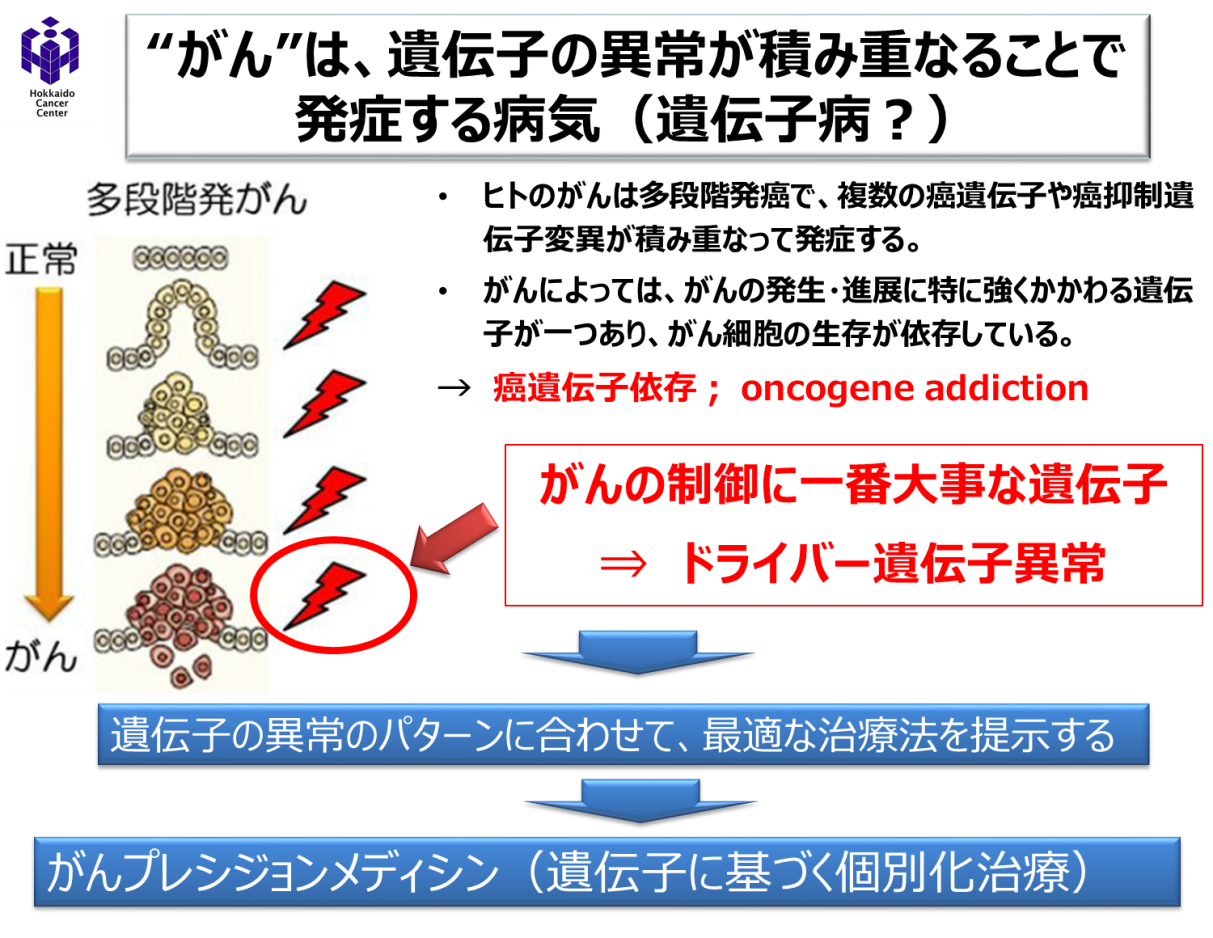 図１：　“がん”は、遺伝子の異常が積み重なって発症する「遺伝子病」