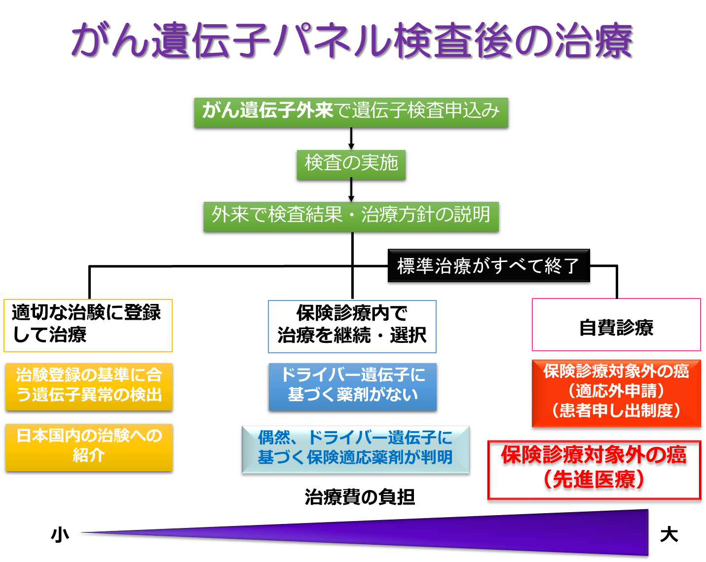 図７：　がん遺伝子パネル検査後に想定される治療のパターン