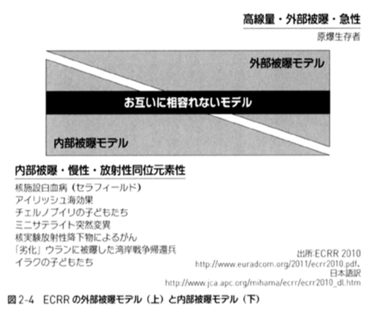 図1 ECRRの外部被曝モデルと内部被曝モデル