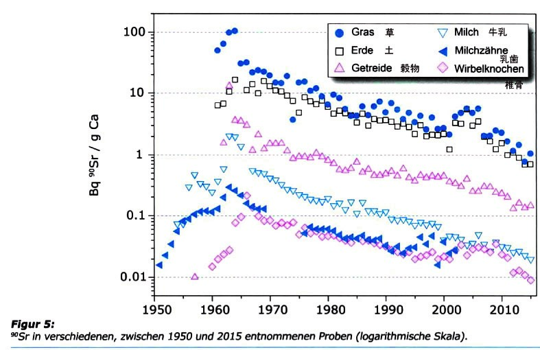図7 スイスでは1950年代からストロンチウム90(Sr-90)が継続的に測定されてきた. 草、土、穀物、牛乳、乳歯、椎骨中の Sr-90測定値の推移 1950年最初に手がけられたのが乳歯であった