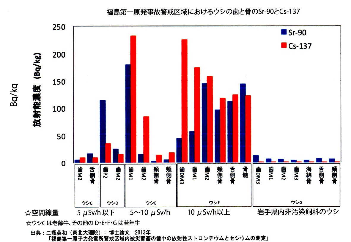 図9 福島第一原発事故警戒区域におけるウシの歯と骨のストロンチウム90とセシウム137