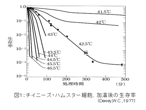 細胞の加温後の生存率