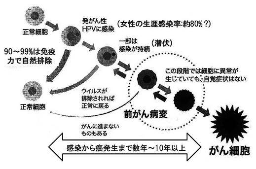 図1