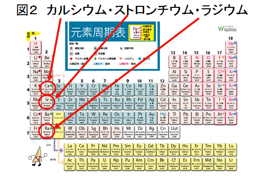 図2 カルシウム・ストロンチウム・ラジウム