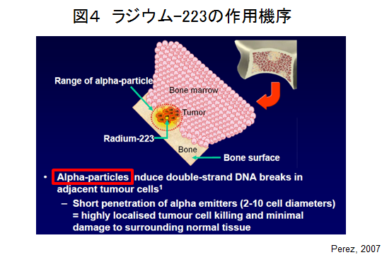 図４ ラジウム-223の作用機序