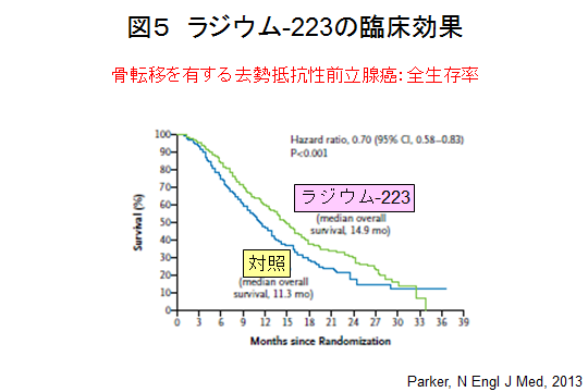 図５ ラジウム-223の臨床効果