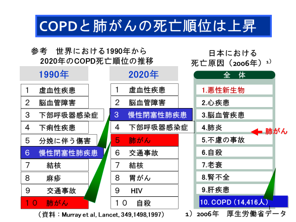 裁断済】CTパターンから理解する呼吸器疾患 所見×患者情報から導く